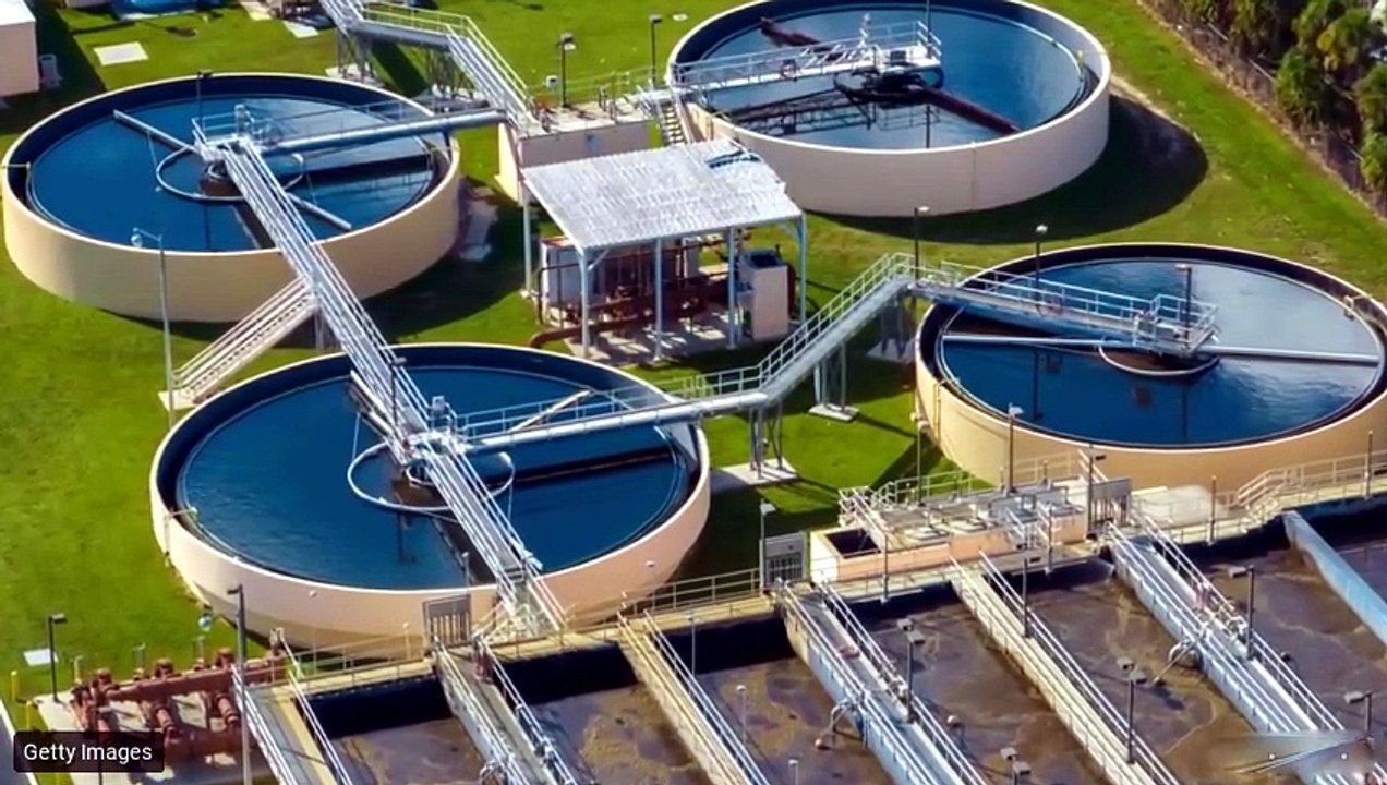 We Accidentally Drugged Our Rivers (And Fish Are Paying the Price)