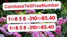 ALL 【Coinbase® {Help Desk Wallet SuppoRt}™ — Toll-Free Numbers & Support Options