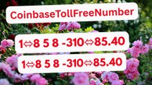 {{FINANCE}}™ {[GUIDE]} ⁂Coinbase® Toll free© helpline® Numbers Contact⁂ (24/7) Live Person Care)