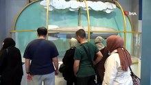 Bursa Osmangazi’de engelleri aşan keşif yolculuğu
