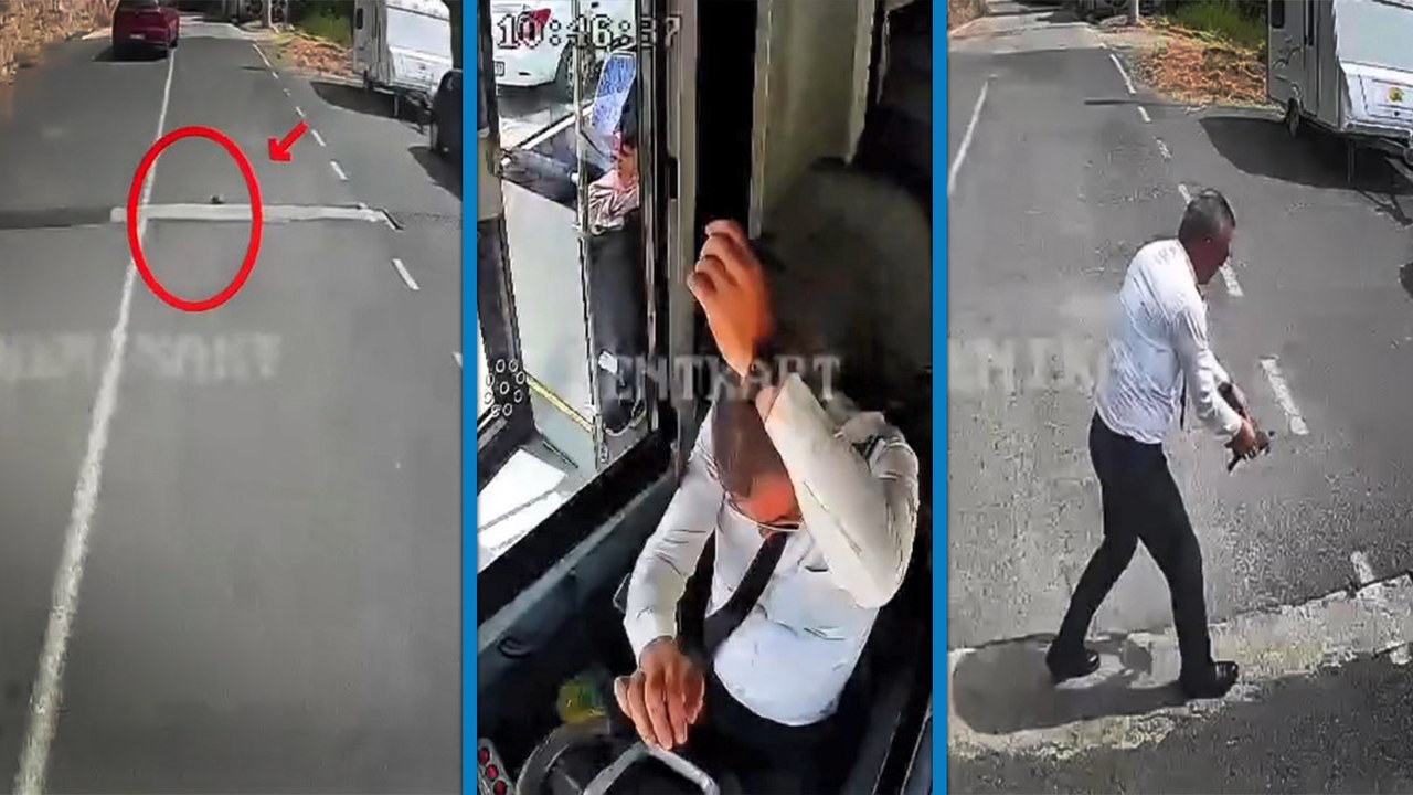 Otobüsü durdurup kaplumbağayı ezilmekten kurtardı