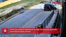 7 yaşındaki Yiğit’in korku dolu anları kamerada! Sokak köpekleri kovaladı: Geceleri ağlayarak uyanıyor