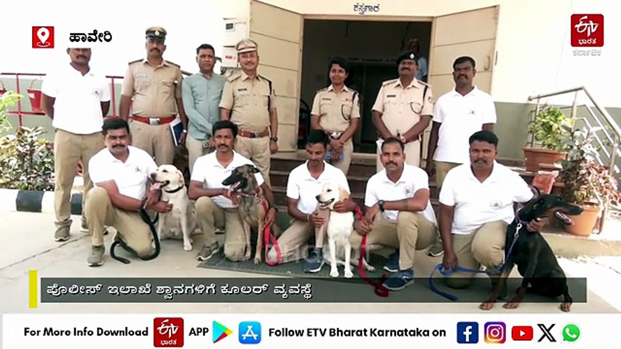 ಹಾವೇರಿ: ಬಿಸಿಲ ಬೇಗೆ ತಪ್ಪಿಸಲು ಪೊಲೀಸ್​ ಇಲಾಖೆ ಶ್ವಾನದಳಕ್ಕೆ ಕೂಲರ್ ವ್ಯವಸ್ಥೆ