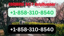 90~【Full】℠ [*List] of Coinbase Toll Free nUmbers in the USA: The Ultimate Explained Guide
