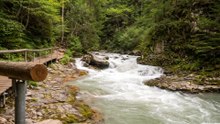 Groppensteinschlucht Austria Waterfalls and Rock Walls 4K 60fps