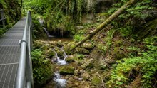 Have You Seen Tüfelsschlucht Like This?