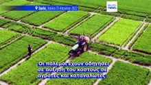 Ειδήσεις | 14 Μαΐου 2026 - Μεσημβρινό δελτίο