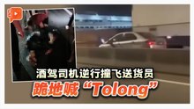 逆行撞飞送货员 酒驾司机跪地喊“Tolong”