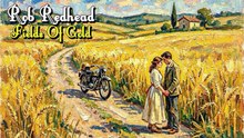 Rob Redhead - Fields of Gold / Sting