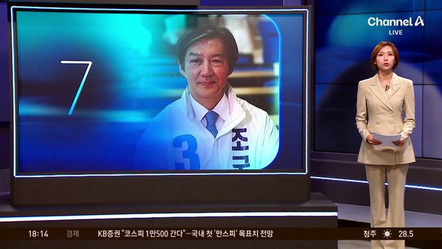 “평택 사람 아냐” 지적에…조국 “히딩크는 한국 사람인가?”