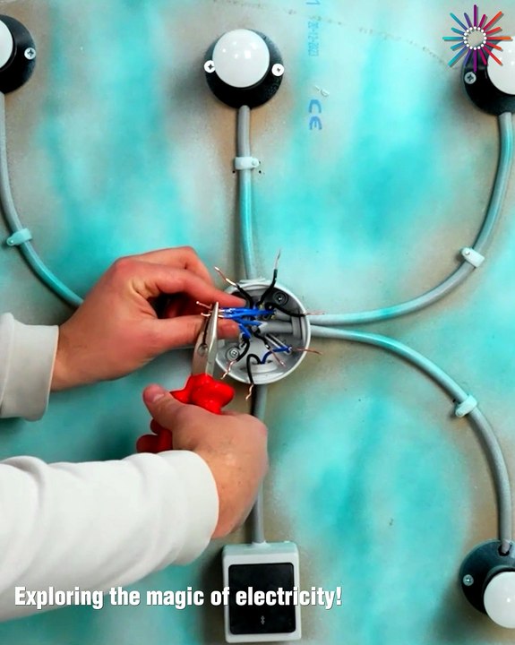 Exploring the magic of electricity!