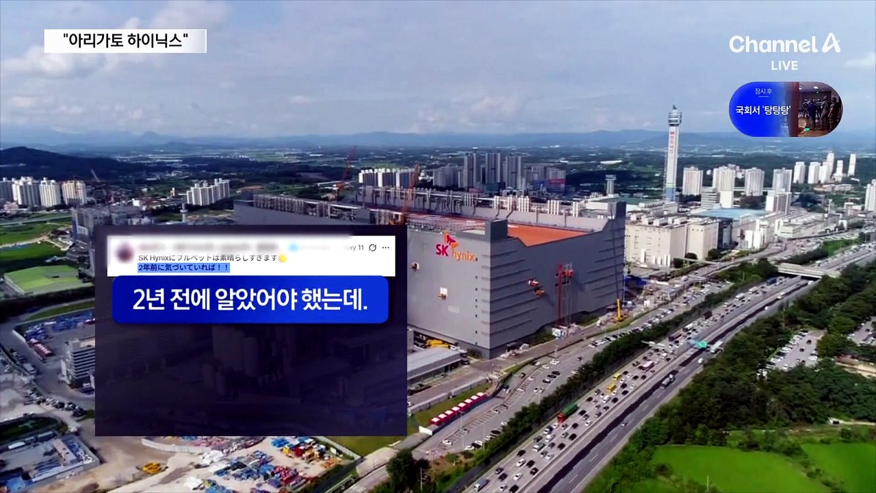 “아리가토 하이닉스”…日 개미 ‘94억 인증글’