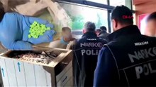 77 ilde uyuşturucu operasyonu; 1187 tutuklama