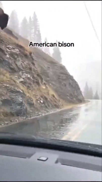 Noooo 😬