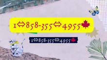 Complete》]™【BIG】™ [*List of CoinbaseⓃⓃ CUSTOMER© WALLET© Care…CopAn