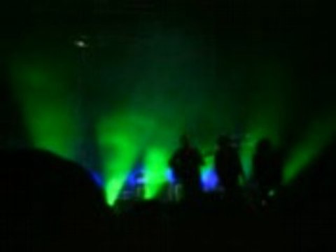 Les wriggles - Tant pis....