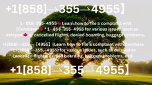 『Coinbase CUSTOMER®』 SERVICE© CARE℗ NUMBERS TOLL FREE NUMBER: Easy Step by Step Guide