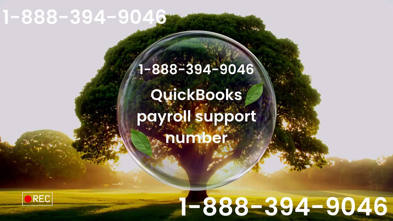 QuickBooks support number
