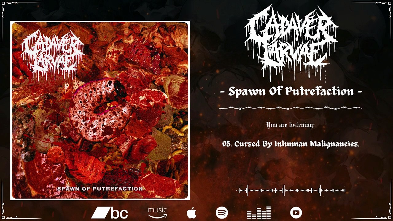 CADAVER LARVAE - Spawn Of Putrefaction | 2026 | Full Album |