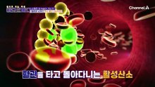암 예방에 중요한 면역력! 리포좀 글루타치온이 암에도 도움이 된다?!