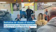 Imitation de chants d’oiseaux : un concours pour désigner le meilleur imitateur à Château-Gombert