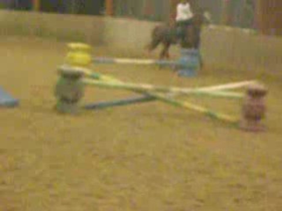 Suite, moi sautant un oxer...