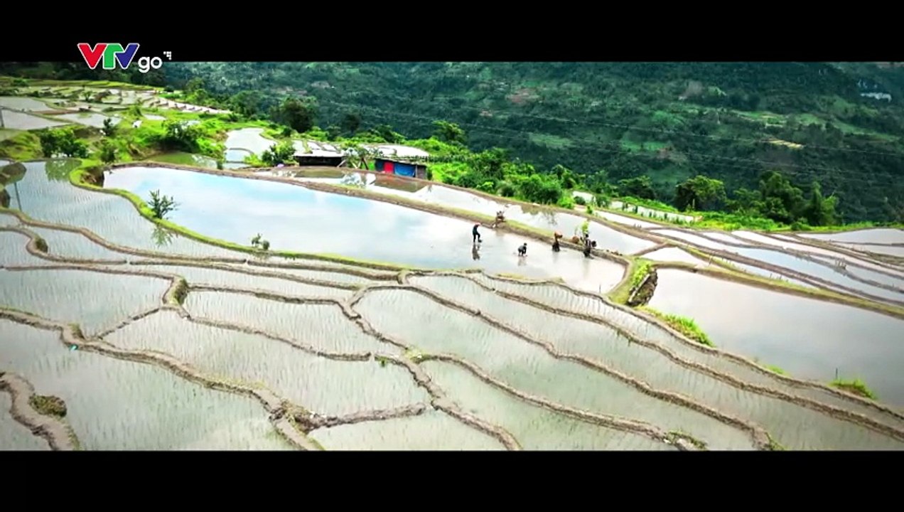Lời Hứa Đầu Tiên Tập 9 - Phim Việt Nam VTV3 (FULL)
