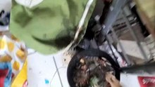 VID-20260514-WA0111.kotzen an vatertag in den Mülleimer