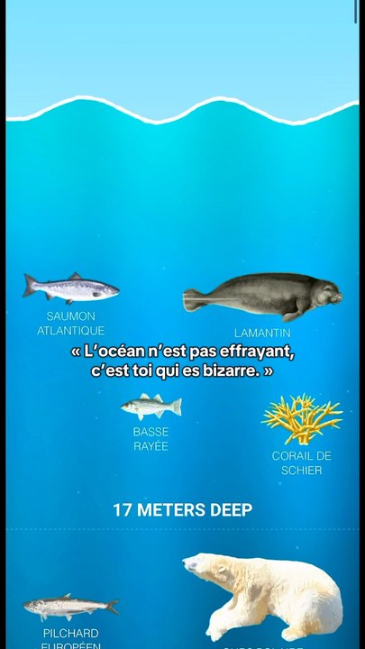 Créatures des profondeurs marines.