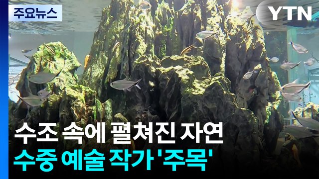 수조 속에 펼쳐진 자연...수중 예술 작가 '주목' / YTN