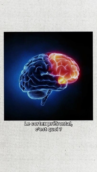 Sommeil, ce qu’une nuit blanche fait VRAIMENT à votre cerveau
