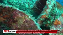 Marina impulsa arrecife artificial en Tamaulipas con hundimiento programado del ex buque “Onjuku”