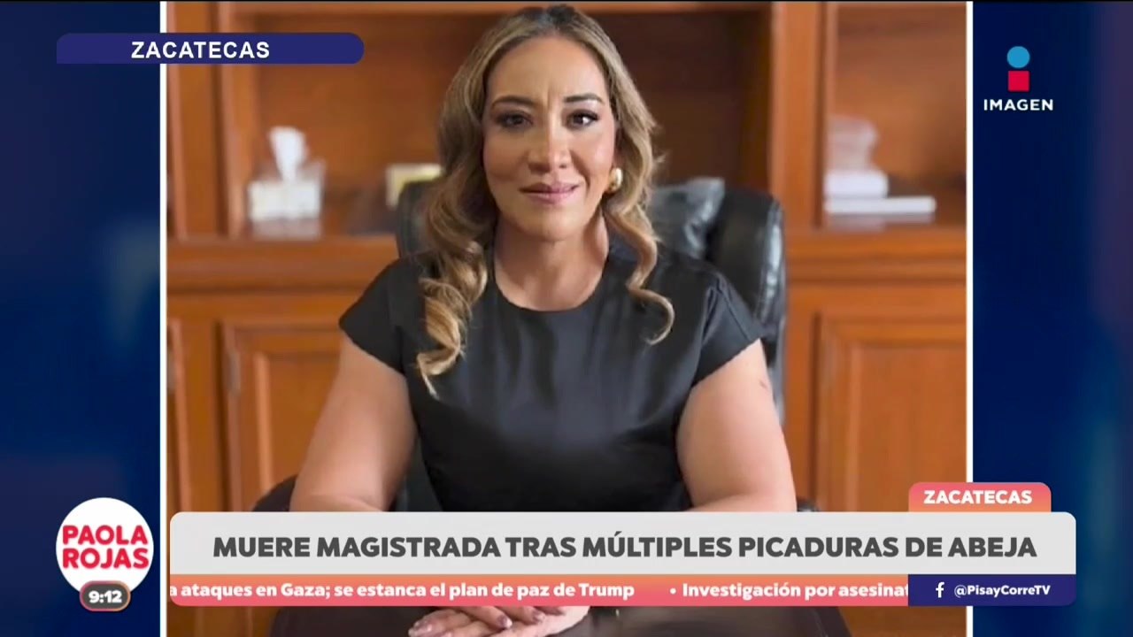 Muere magistrada de Zacatecas tras ataque de abejas | De Pisa y Corre