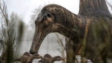 Spinosaurus was one of the strangest dinosaurs to ever live. #spinosaurus #dinosaurs #dinosaur #dino #prehistoric