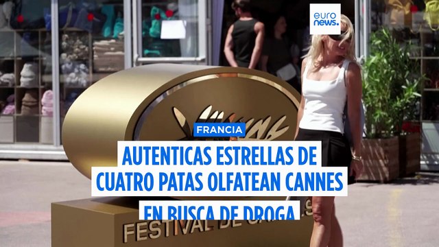 Festival de Cannes: Los perros policía se pasean por la alfombra roja