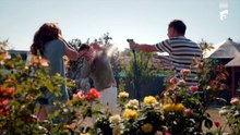 Destine cu parfum de lavanda Episodul 5 joi 14 Mai 2026 partea 1