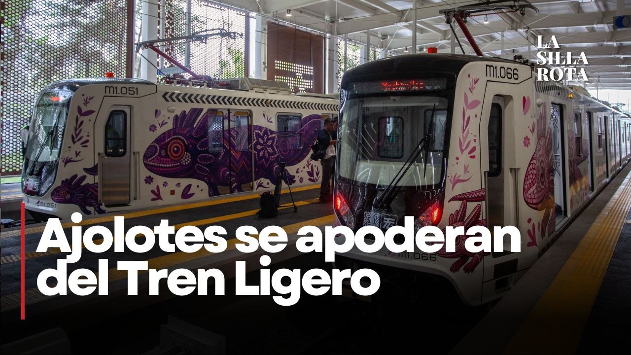 Ajolotes invaden CDMX; así luce el nuevo Tren Ligero