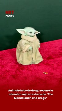 🎥🟢✨ Durante el estreno de “The Mandalorian and Grogu” en Los Ángeles, un animatrónico de Grogu recorrió la alfombra roja, causando furor entre fans y asistentes.