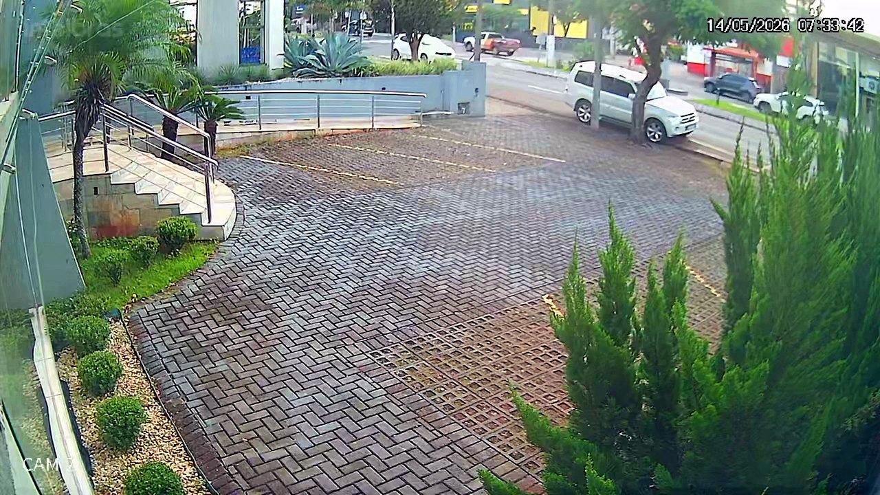 Câmeras flagram carro em alta velocidade atropelar e matar idoso e cão em Londrina