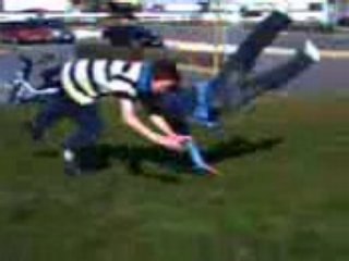 Mon rko sur l herbe