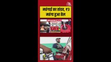 महंगा हुआ पेट्रोल-डीजल... क्या बोली जनता? देखिए