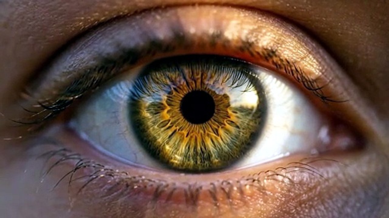 Your Eyes Are Lying to You (The Hidden Truth About Human Vision)