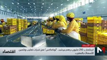 النشرة الاقتصادية - 14/05/2026