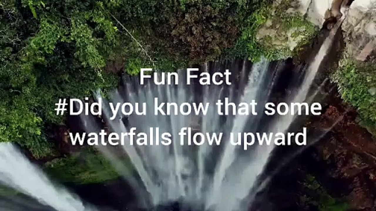 Fun Facts 02