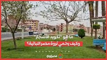 تكويد الأشجار" وكيف يحمي ثروة مصر النباتية؟...