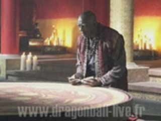 Dragon Ball Z Le Film 2009 Fake