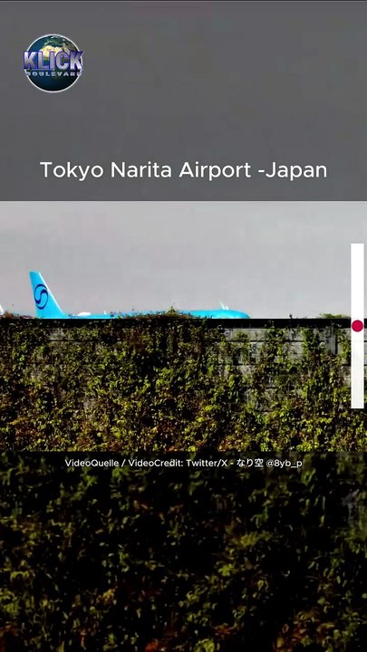 Korean Air Landeabbruch - Narita Airport #Airbus #aviation
