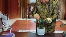抖音新剧上线# 人到中年才发现我竟是真少爷 (上)