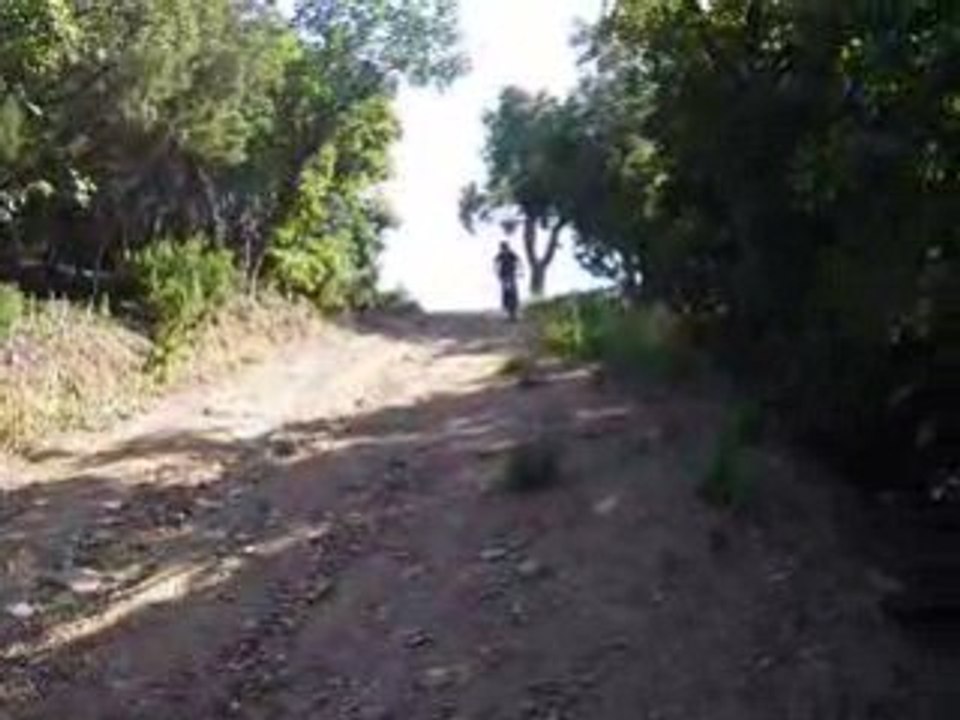 mini Dh 1