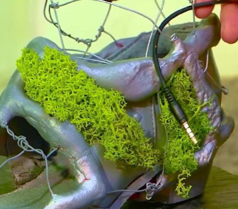 Idées créatives de mousse DIY pour un intérieur naturel